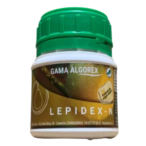 Algorex lepidex