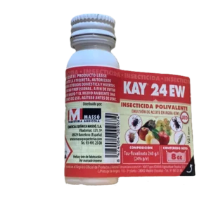 Kay