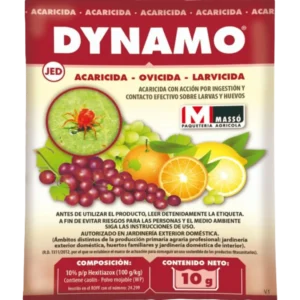 Dynamo frente