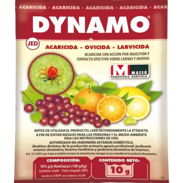 Dynamo frente