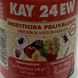 Kay 24EW