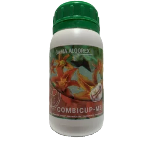 Combicup