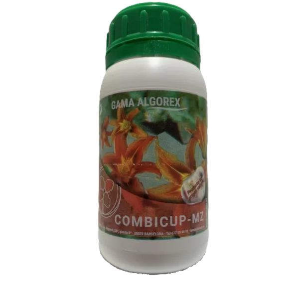 Combicup