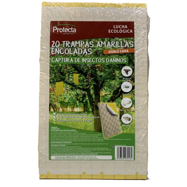 Trampas amarillas encoladas