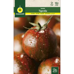 Tomate tigerella