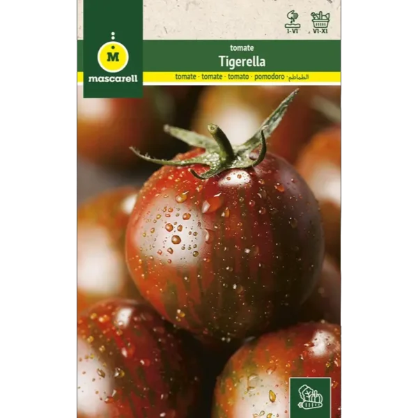 Tomate tigerella