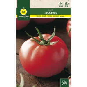 Tomate 3 cantos