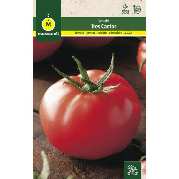 Tomate 3 cantos