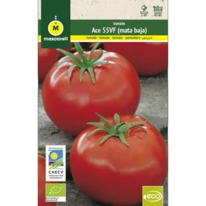 Tomate ACE 55 VF