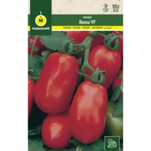 Tomate roma vf pera