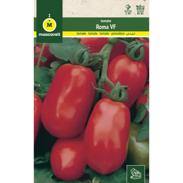 Tomate roma vf pera