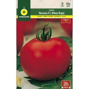Tomate Venezia F1