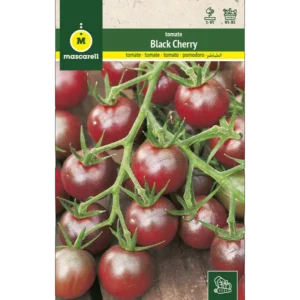 Tomate black cherry