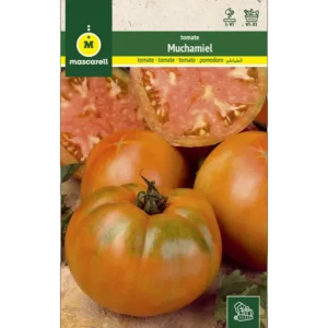 Tomate muchamiel