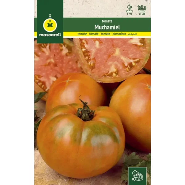 Tomate muchamiel