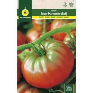 Tomate super marmande