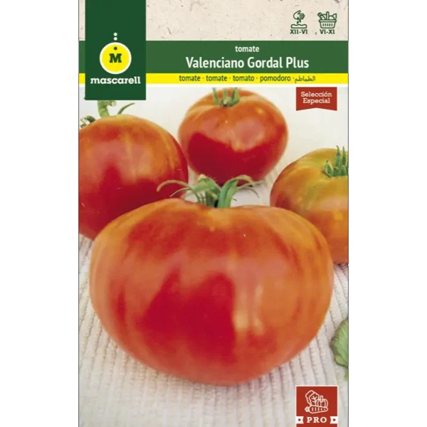 Tomate valenciano gordal