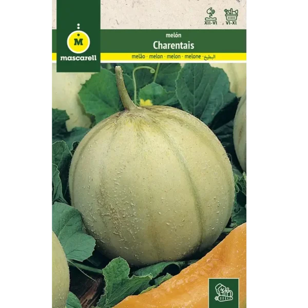 Melón Charentais