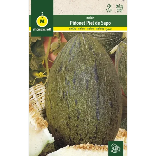 Melón piñonet piel de Sapo