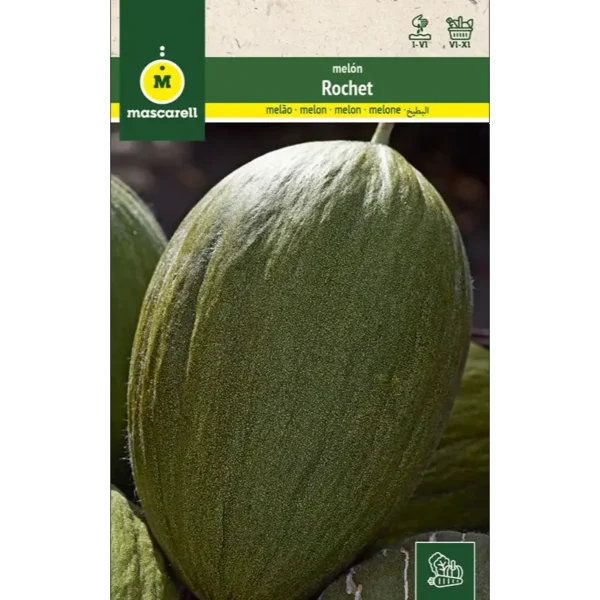 Melón Rochet