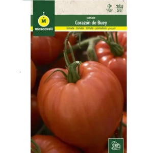 Tomate corazon de buey