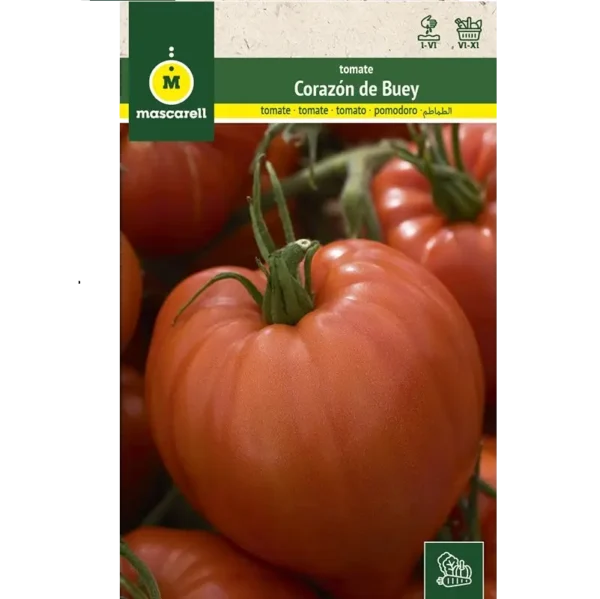 Tomate corazon de buey