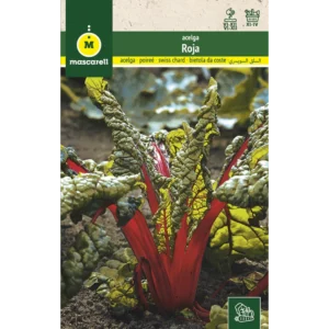 Acelga roja