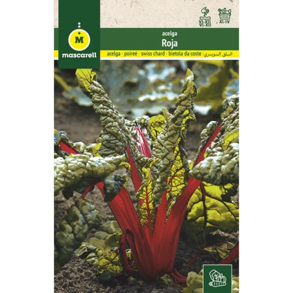 Acelga roja