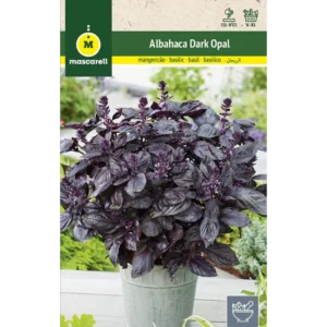 Albahaca dark opal púpura