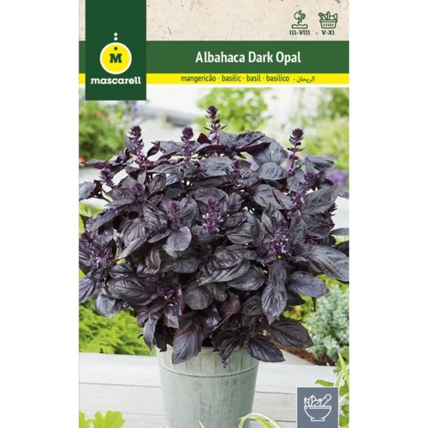 Albahaca dark opal púpura