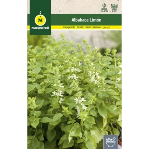 Albahaca limón