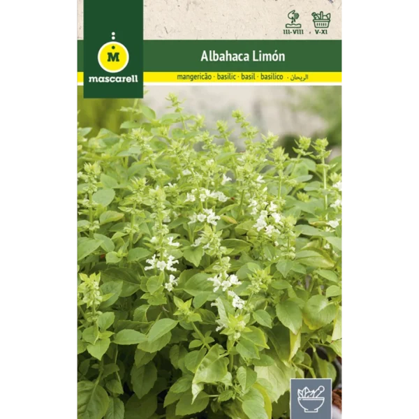 Albahaca limón