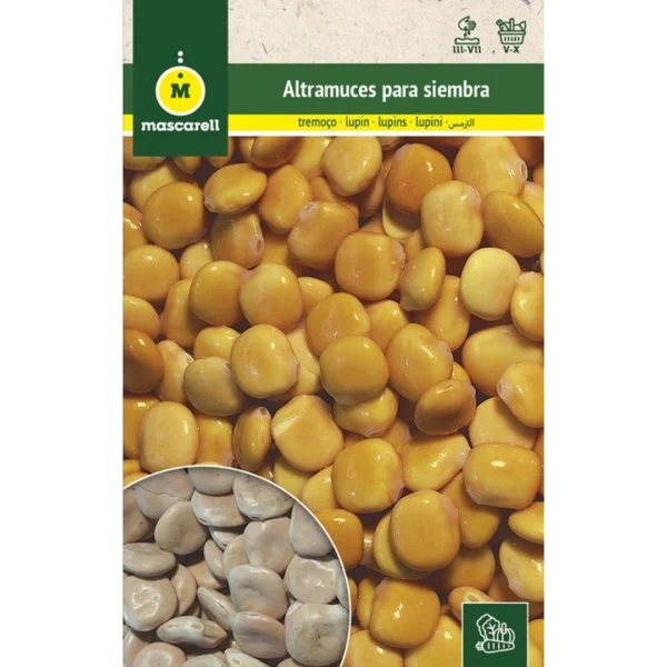 Altramuces