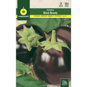 Berenjena black beauty