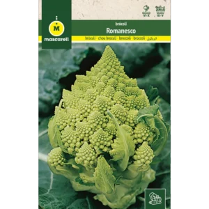 Brócoli romanesco
