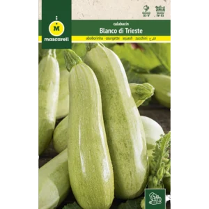 Calabacín blanco di trieste