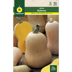 Calabaza butternut