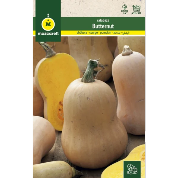 Calabaza butternut
