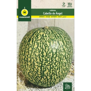 Calabaza cabello de ángel