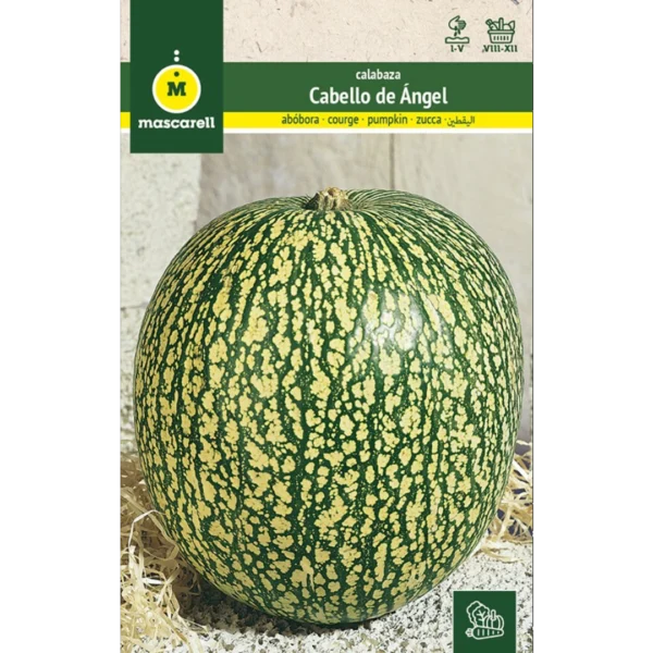 Calabaza cabello de ángel