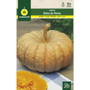 Calabaza dulce de horno totanera
