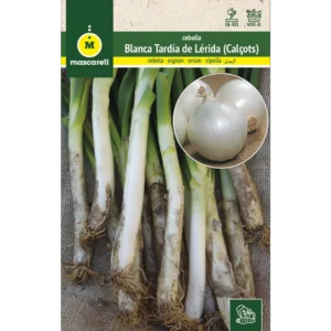 Calçots
