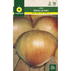 Cebolla babosa Astra
