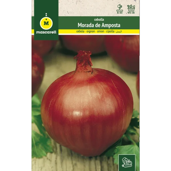 Cabolla morada de Amposta