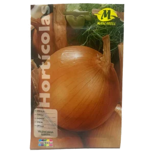 Cebolla valenciana tardía
