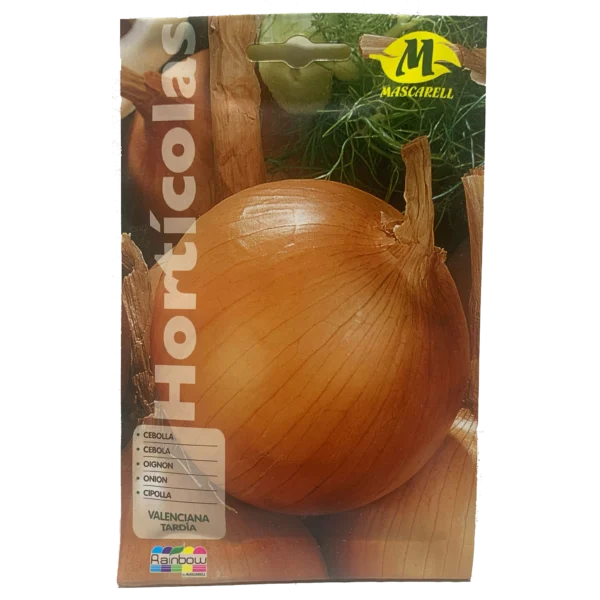 Cebolla valenciana tardía