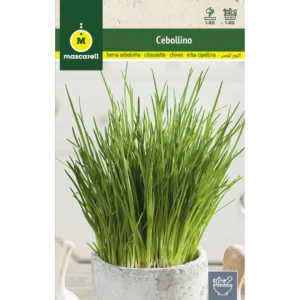Cebollino