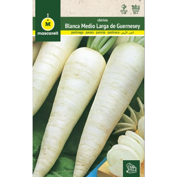 Chirivía blanca medio larga de Guernsey