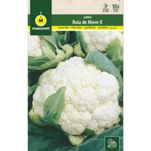 Coliflor bola de nieve