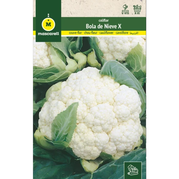 Coliflor bola de nieve